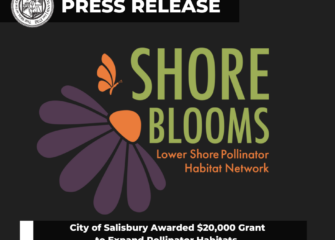 City of Salisbury Awarded $20,000 Grant to Expand Pollinator Habitats City of Salisbury Awarded $20,000 Grant to Expand Pollinator Habitats