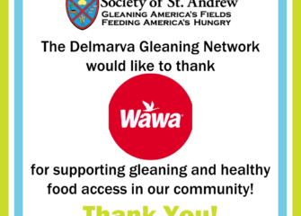 Society of St. Andrew Receives Grant from Wawa to Provide 60,000 Servings of Fresh, Healthy Food to Local Communities Society of St. Andrew Receives Grant from Wawa to Provide 60,000 Servings of Fresh, Healthy Food to Local Communities